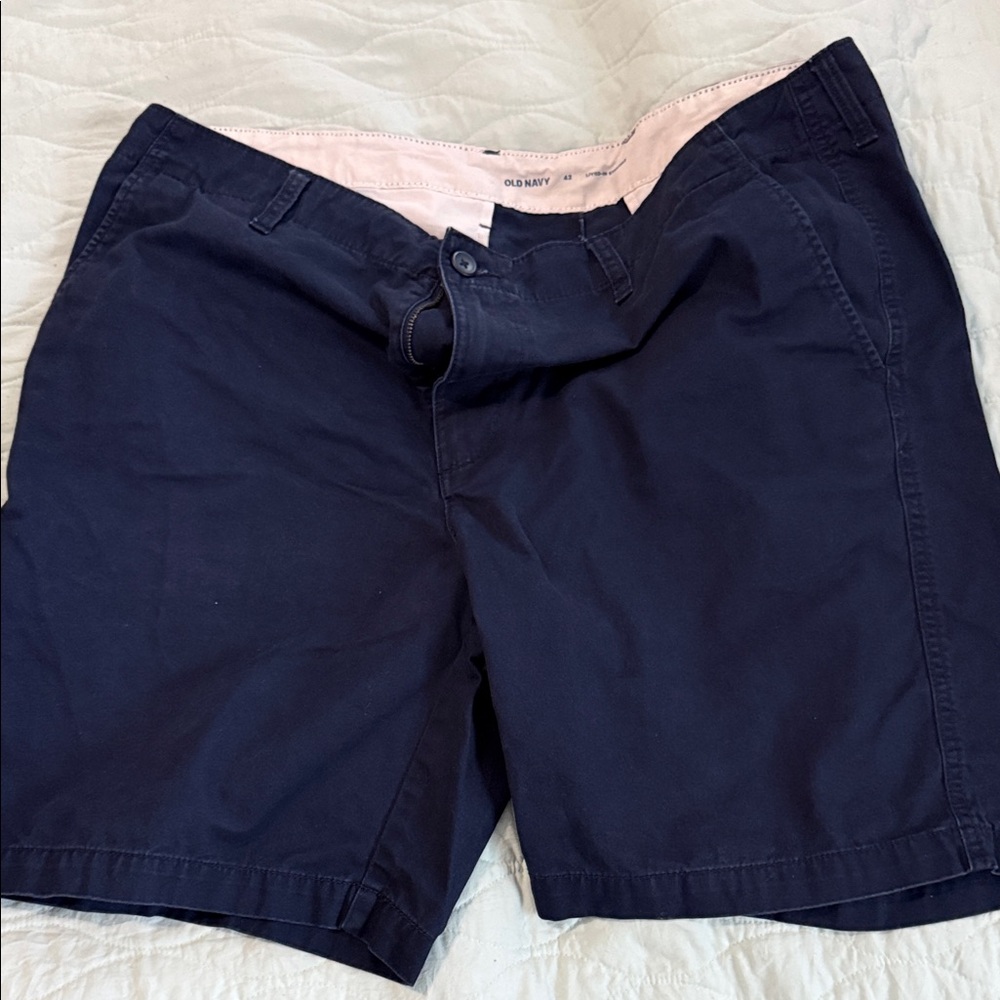 Old Navy Navy Blue Men's Flat Front Shorts